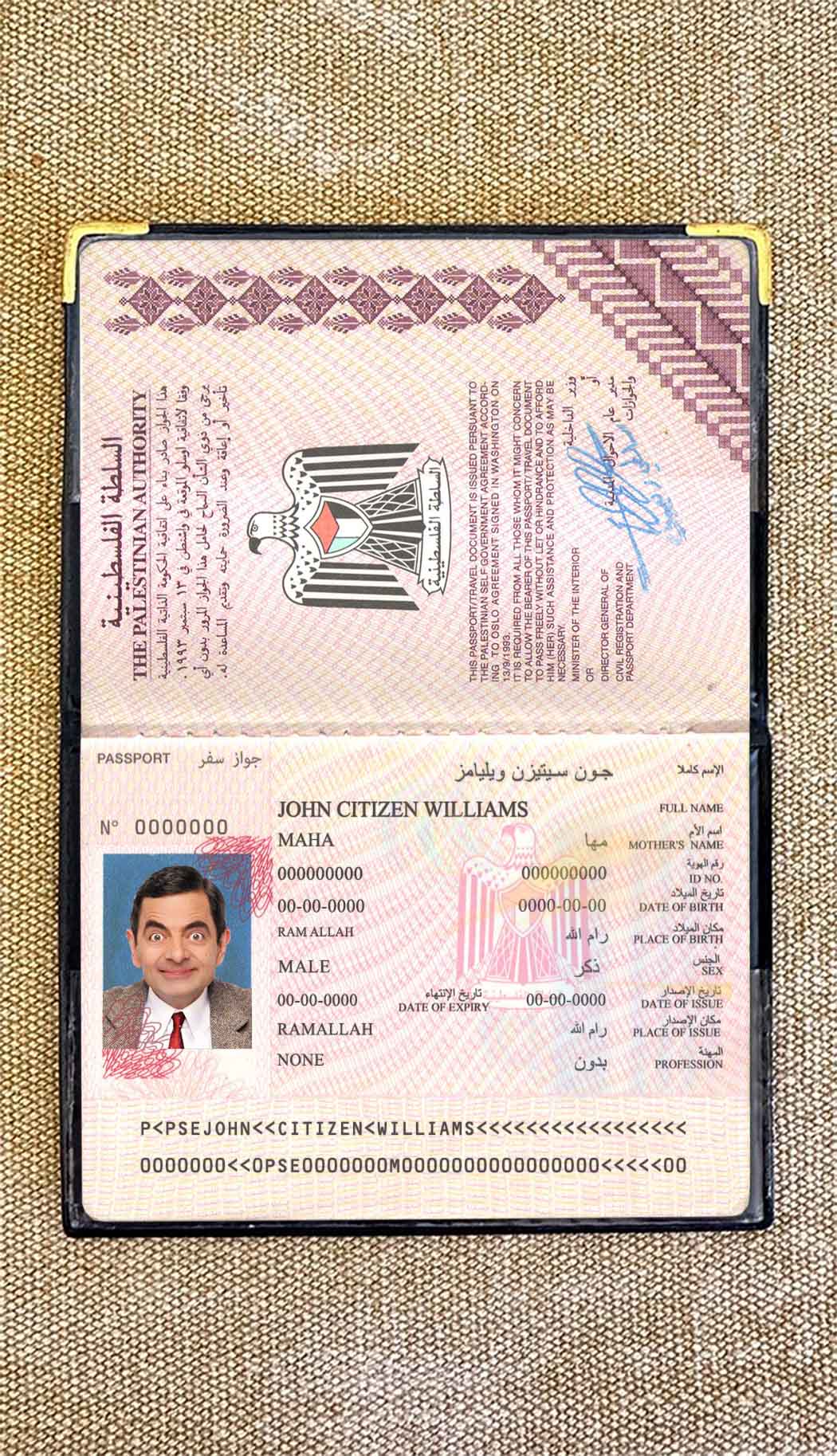 Palestine passport photo look PSD template